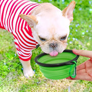 Collapsible Travel Food & Water Bowl product image 4
