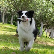 Squeaky Bottle Chew Toy product image 5