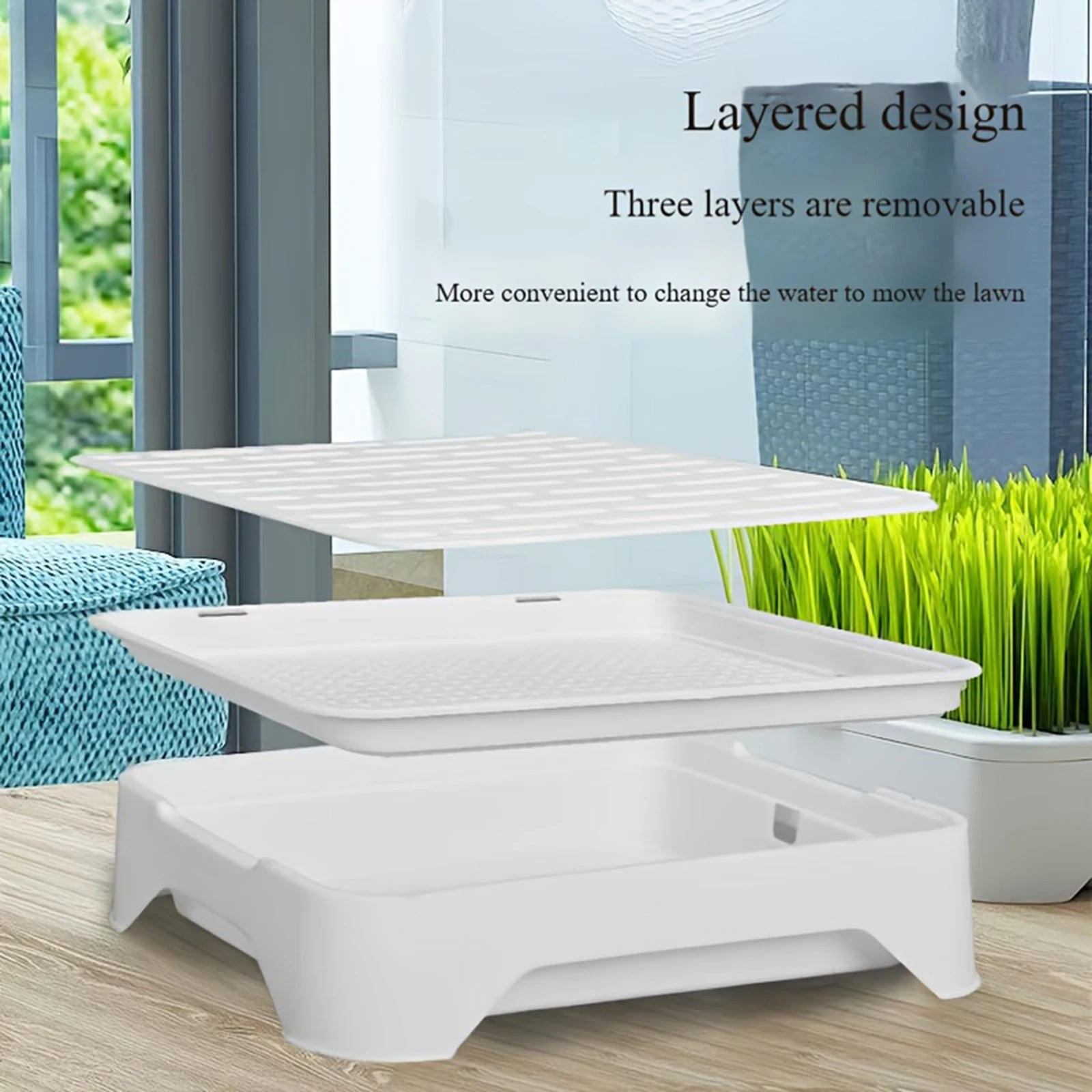 Cat Grass Growing Kit product image 5