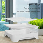 Cat Grass Growing Kit product image 5