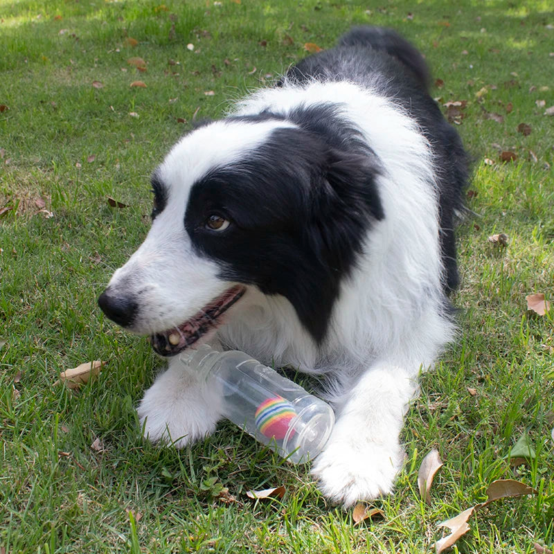 Squeaky Bottle Chew Toy product image 6