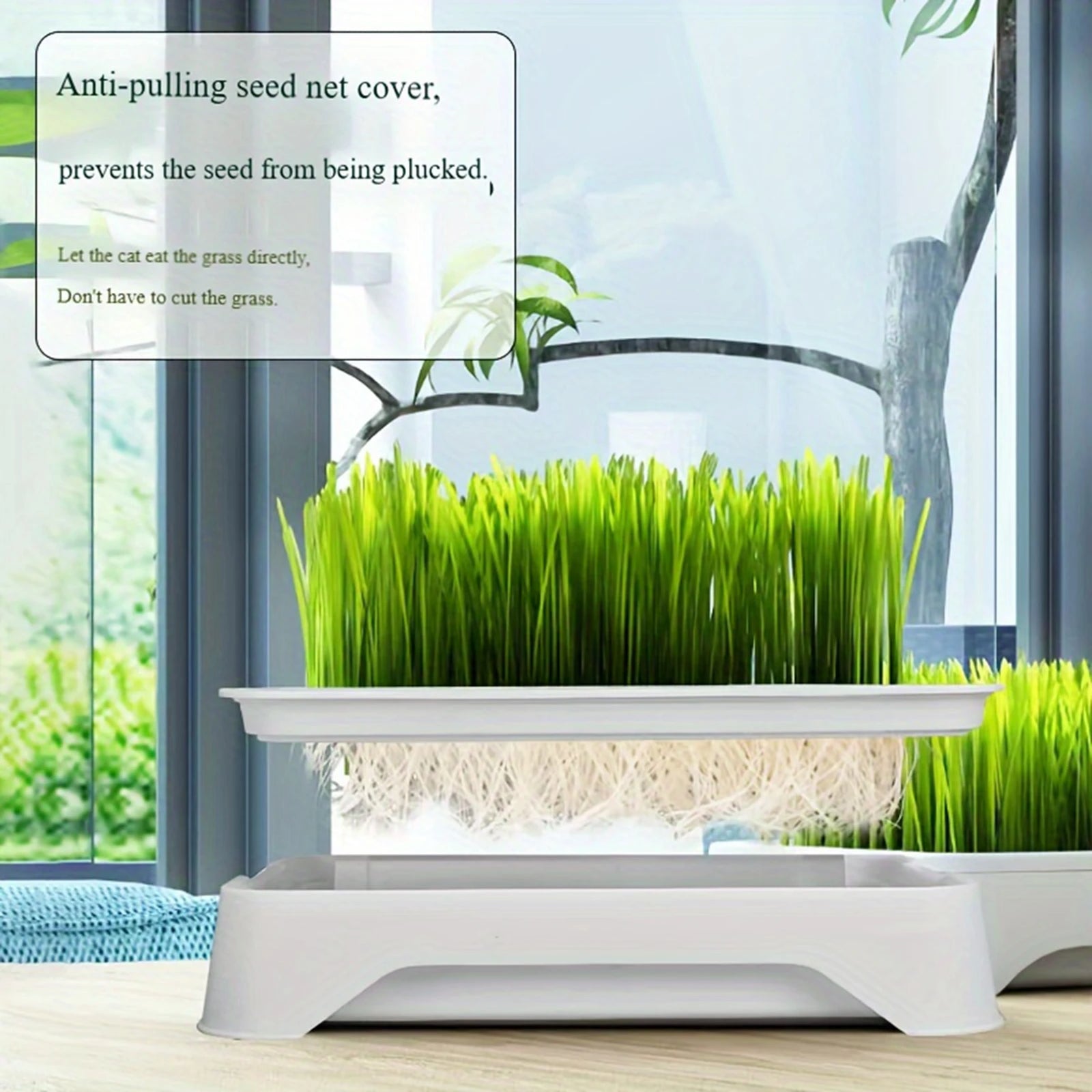 Cat Grass Growing Kit product image 3