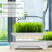 Cat Grass Growing Kit product image 3
