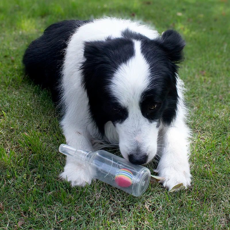 Squeaky Bottle Chew Toy product image 2