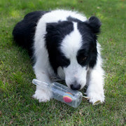 Squeaky Bottle Chew Toy product image 2