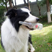 Squeaky Bottle Chew Toy product image 4