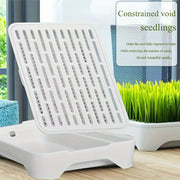 Cat Grass Growing Kit product image 6